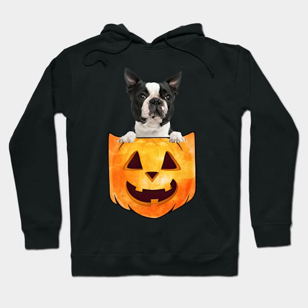 Black Boston Terrier Dog In Pumpkin Pocket Halloween Hoodie by nakaahikithuy